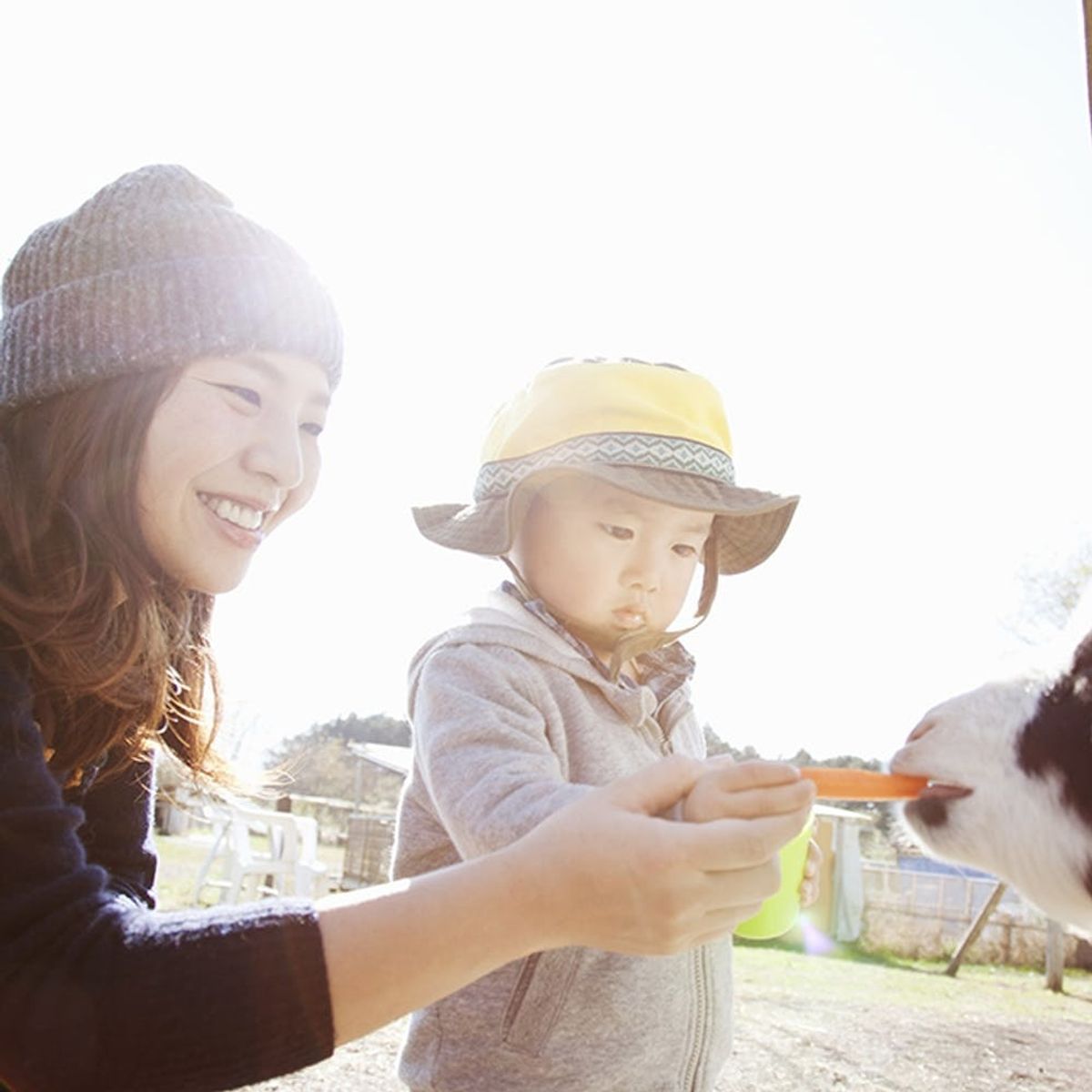 8 Parent-Child Activities that Moms Will Also Love