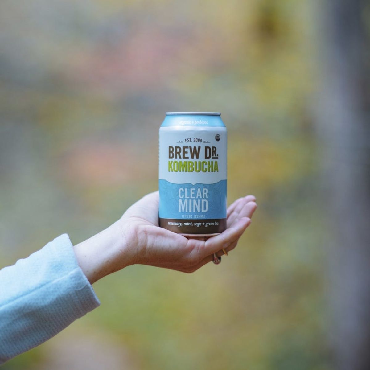 Get Your Bubbly Fix During Dry January With These Kombuchas