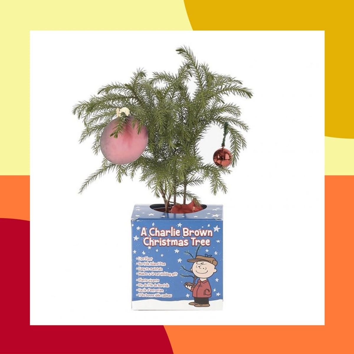 These Are the Best Amazon Black Friday Sales You Can Already Shop