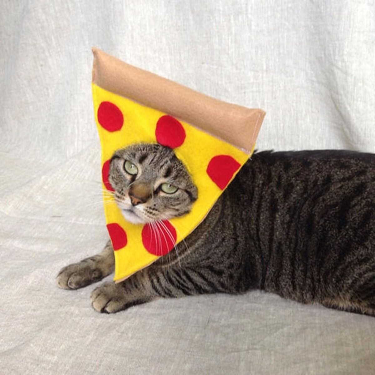 12 Cat Costumes to Meow for This Halloween