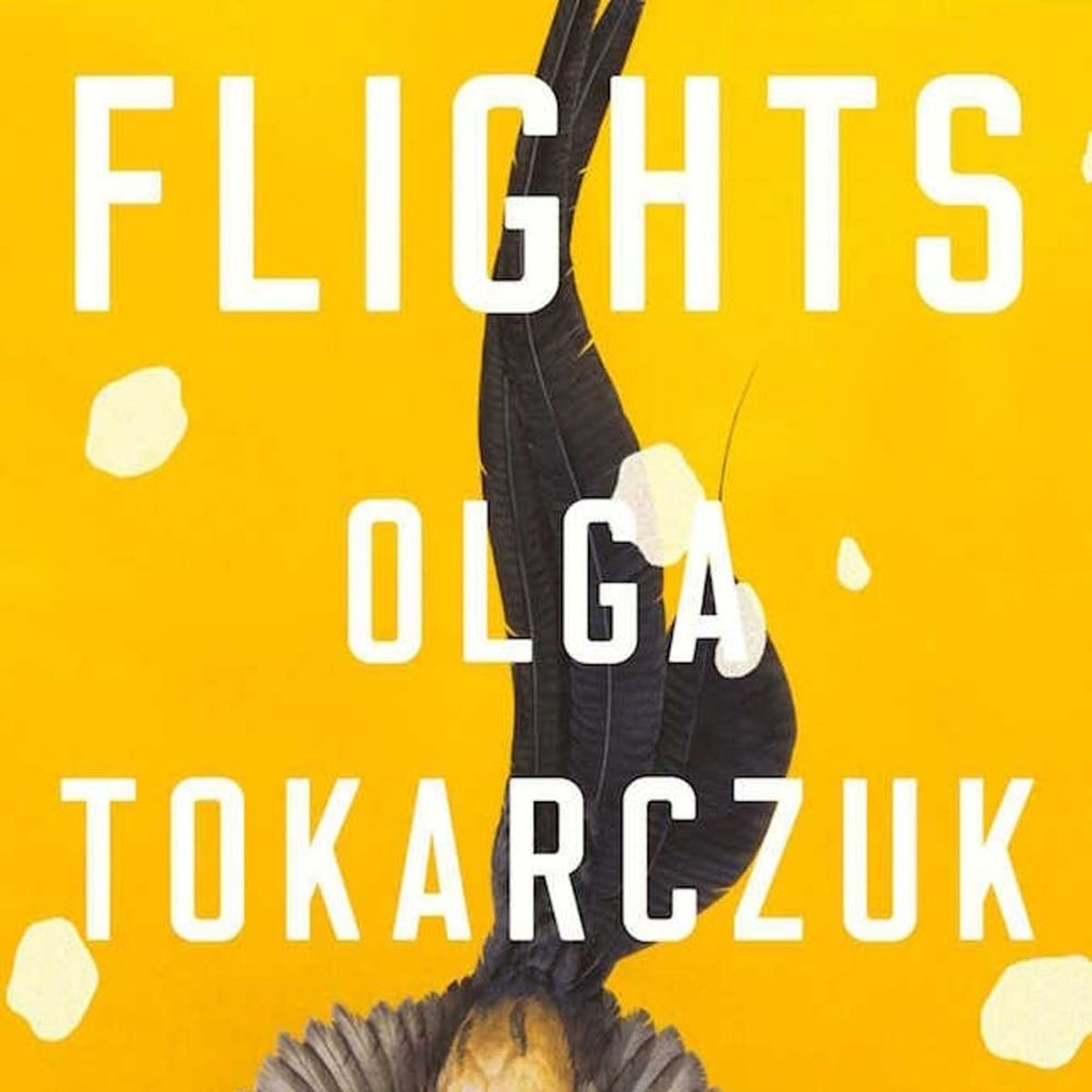 3 New Modern International Classics Found in Translation