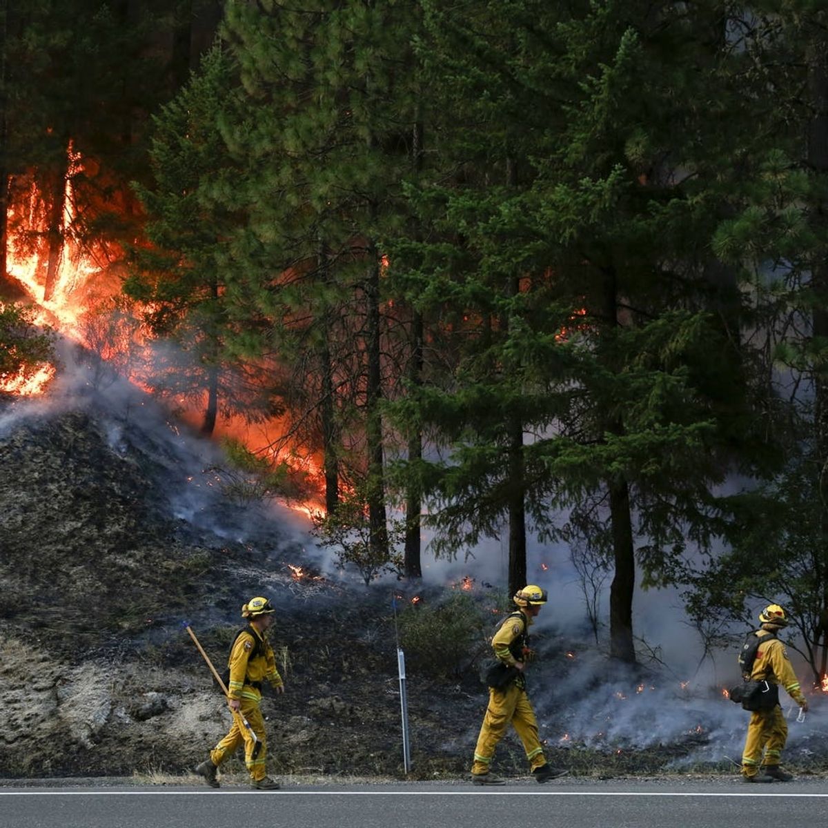 A Couple Accidentally Started the Carr Fire. Their Community Is Responding With Love