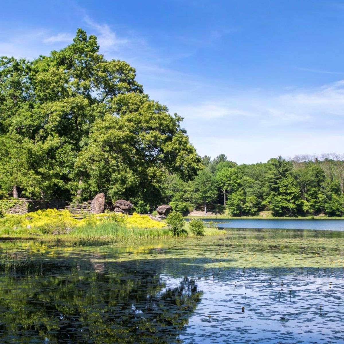 Carless Weekend Travel: Horsing Around in Millbrook, New York