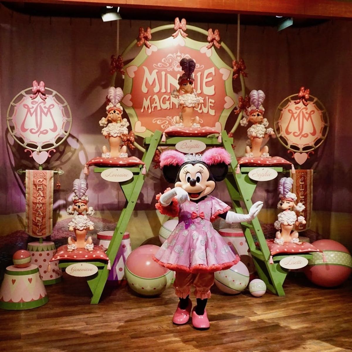 21 Major Differences Between Disneyland and Disney World