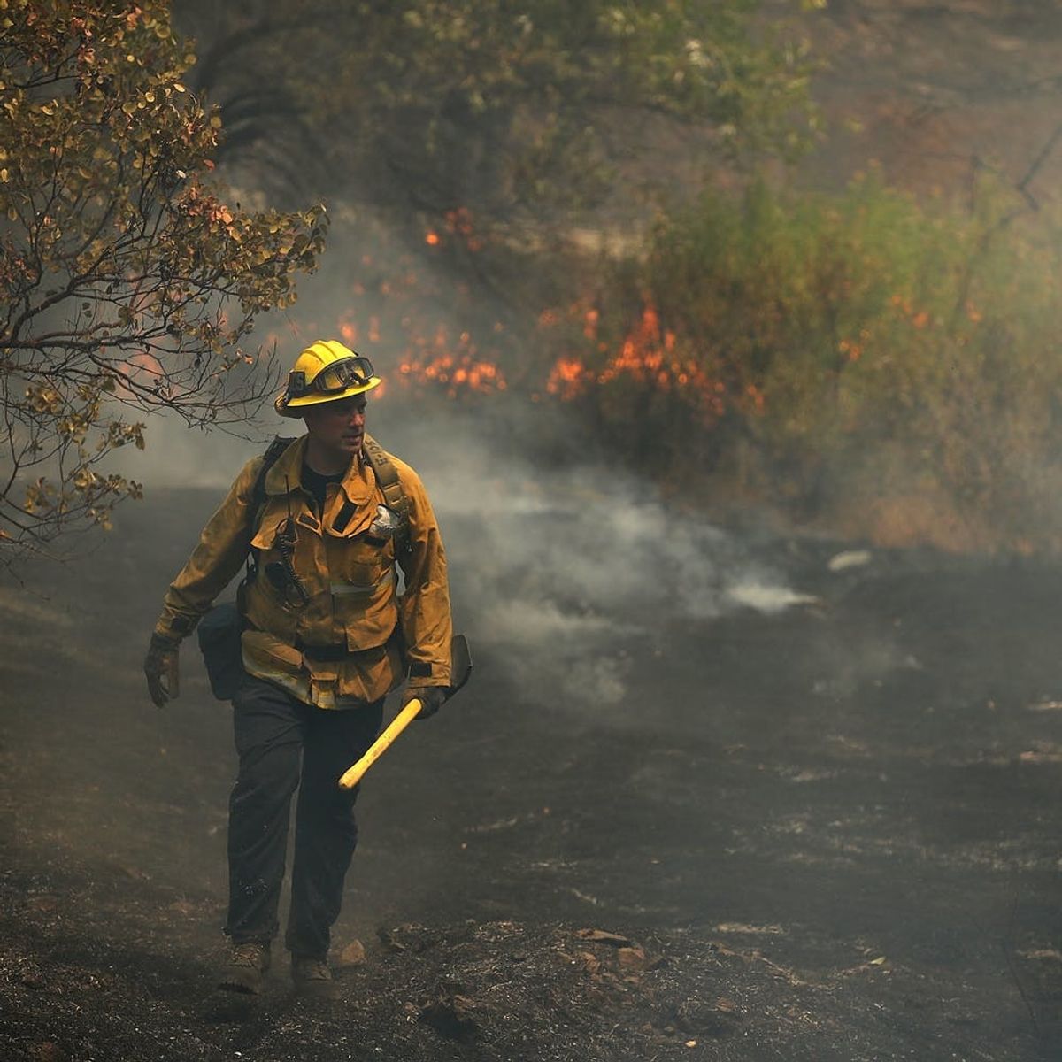 Carr Fire Marks Deadly Start to Northern California Wildfire Season