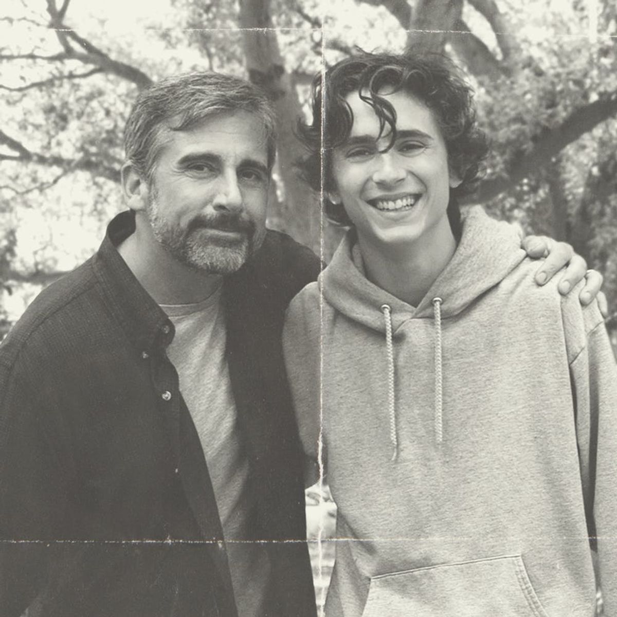 Steve Carrell and Timothée Chalamet Will Make You Sob in This ‘Beautiful Boy’ Trailer