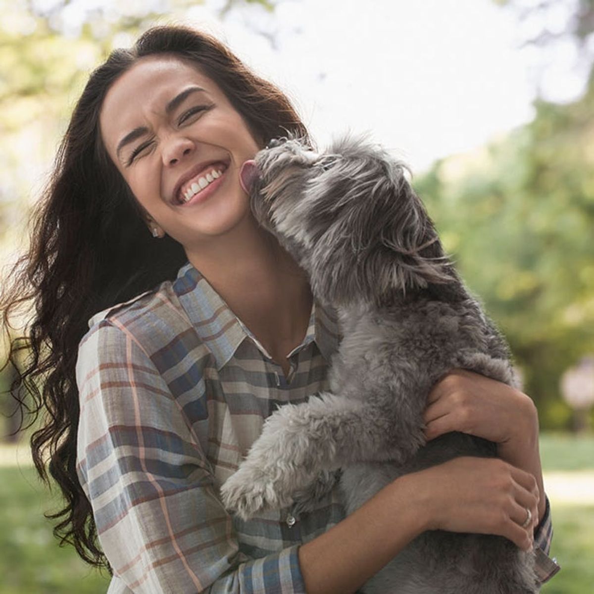 Here’s the Lowdown on Emotional Support Animals