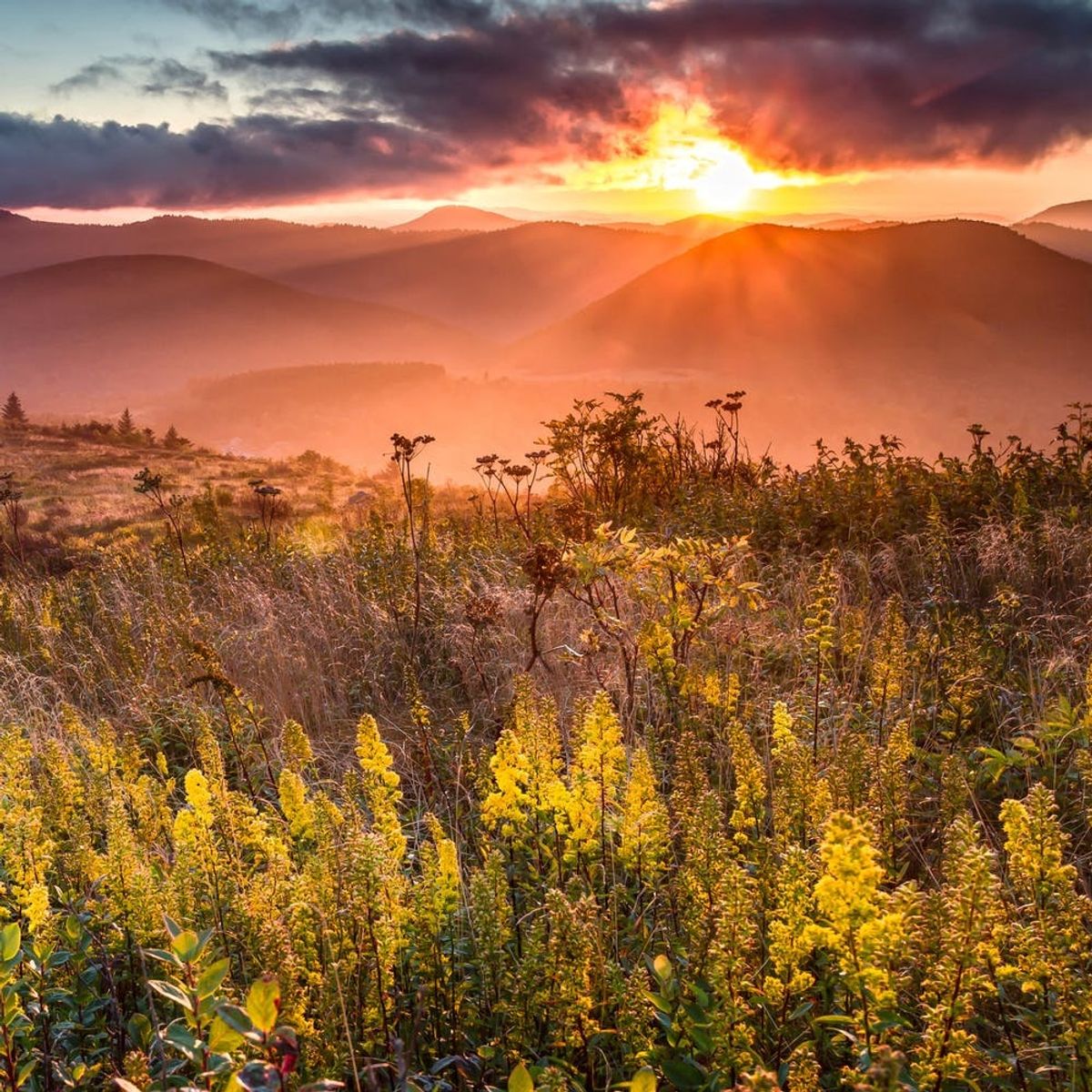 8 Last Minute Road Trips You Can Still Take for Memorial Day