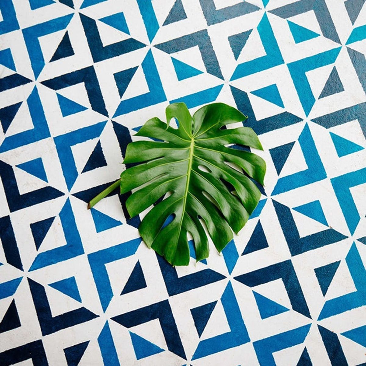 12 Colorful Ways to Amp Up Your Curb Appeal