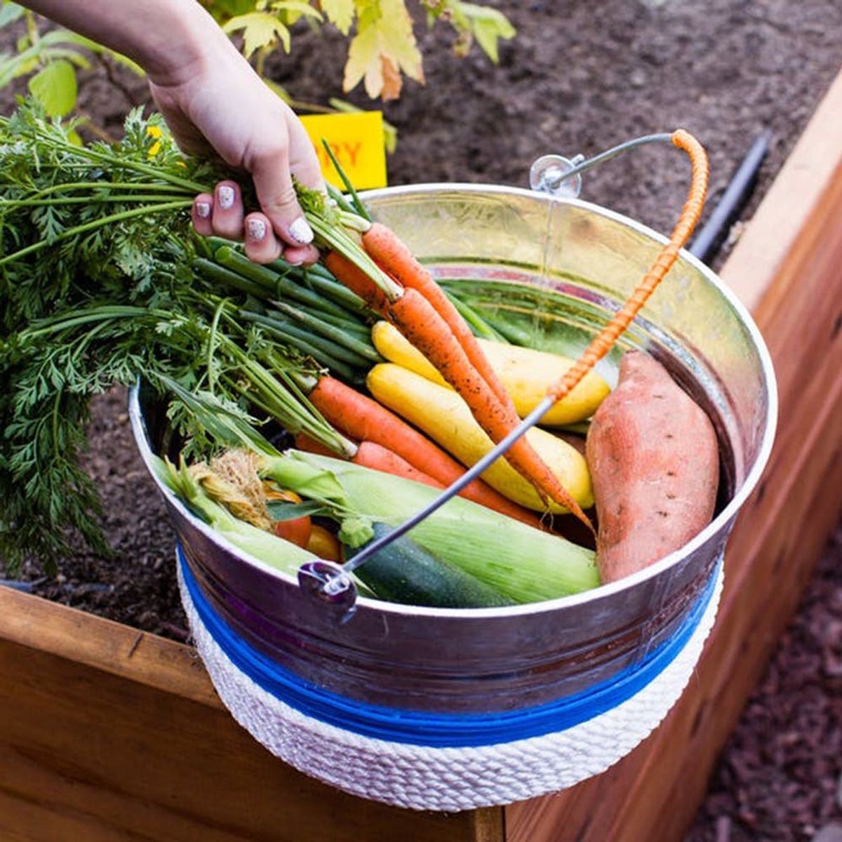 3 Practical Tips for Eating Organically on a Budget