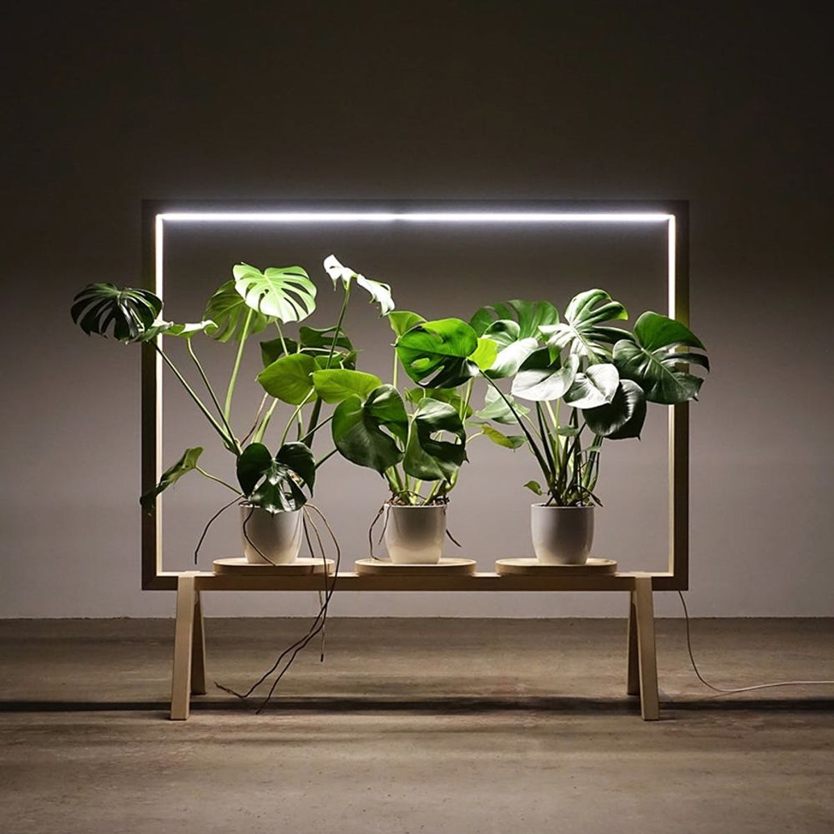 This Movable “Window” Is the Perfect Way to Add Greenery to Any Space