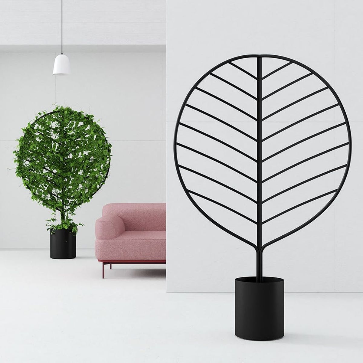 This Is the Living Wall Hack You Need to Achieve #Jungalow Status