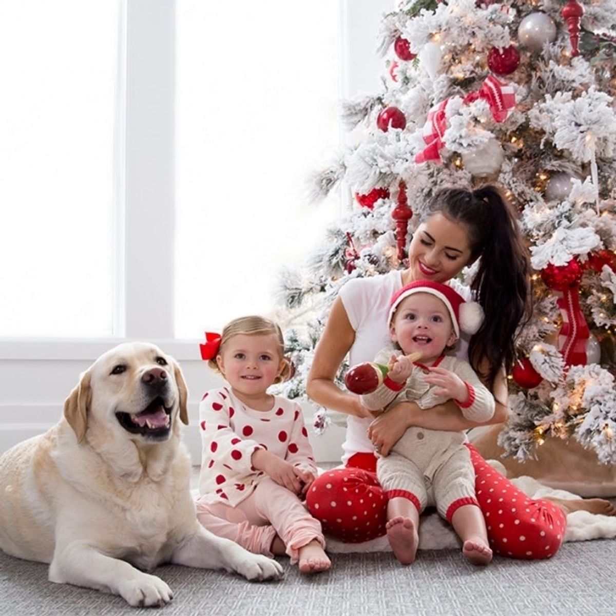 10 Last-Minute Holiday Decor Ideas You Can Make Now