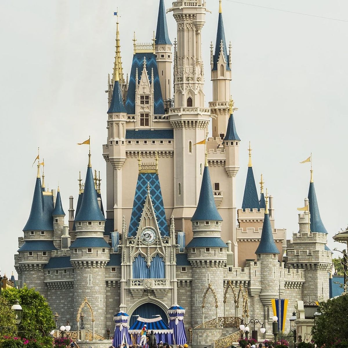 You Can Now Bring Your Pooch to the Happiest Place on Earth