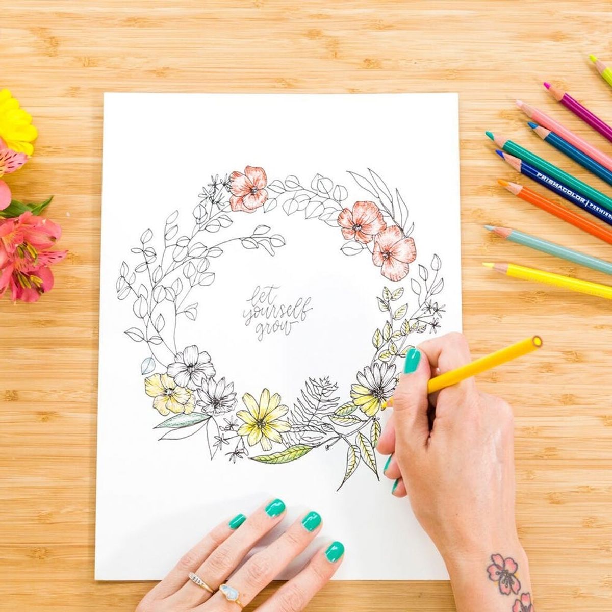 The Ultimate Online Class Gift Guide: 15 Courses You’ll Want to Give for the Holidays