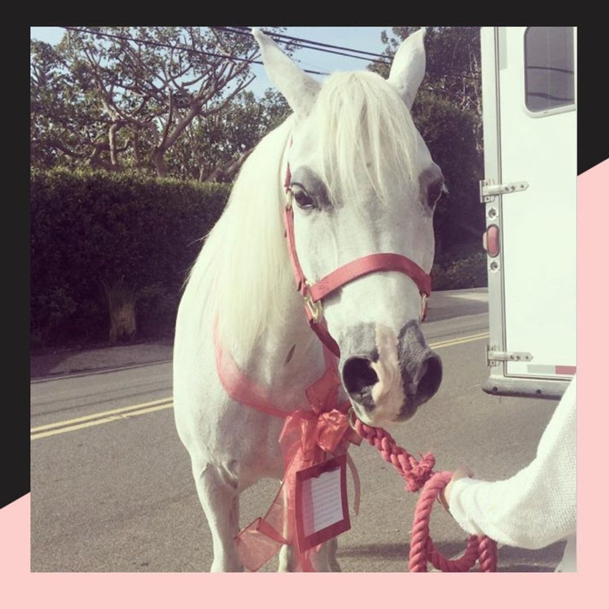 These Over-the-Top Celebrity Gifts Might Inspire Your Holiday Shopping This Year