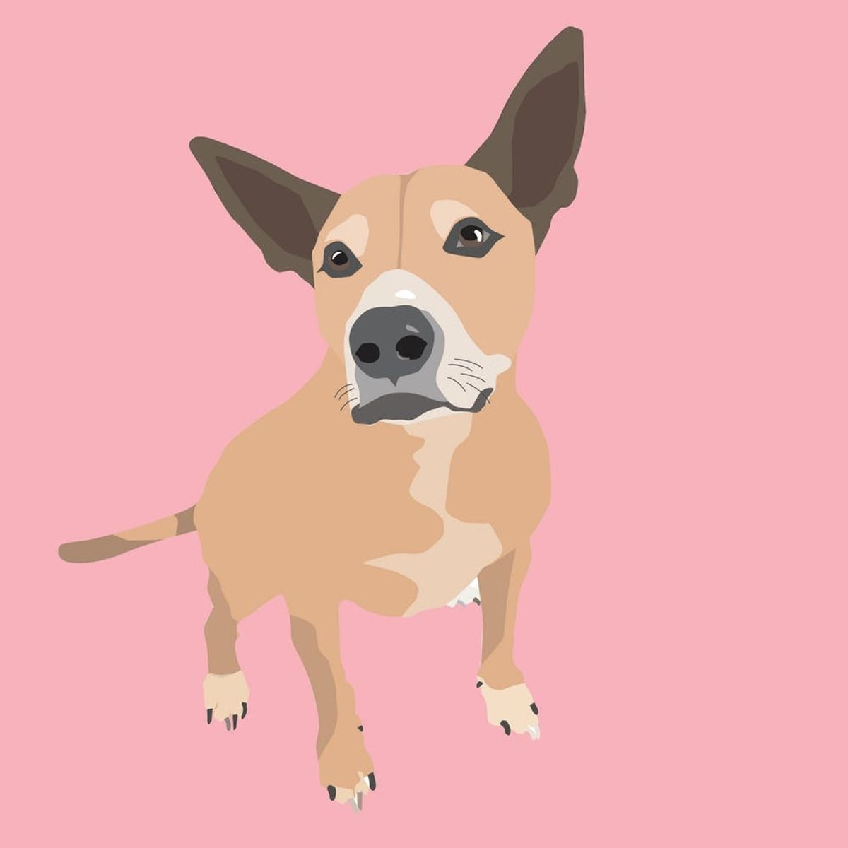 Hey, Pet Parents! Turn Your Fur Baby Photos into an Adorable Digital Illustration