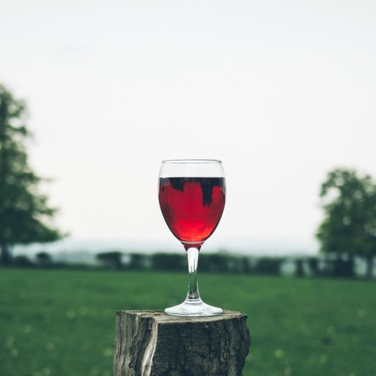 Pair HobNob’s Halloween Wines With Candy for the Ultimate Indulgent Halloween