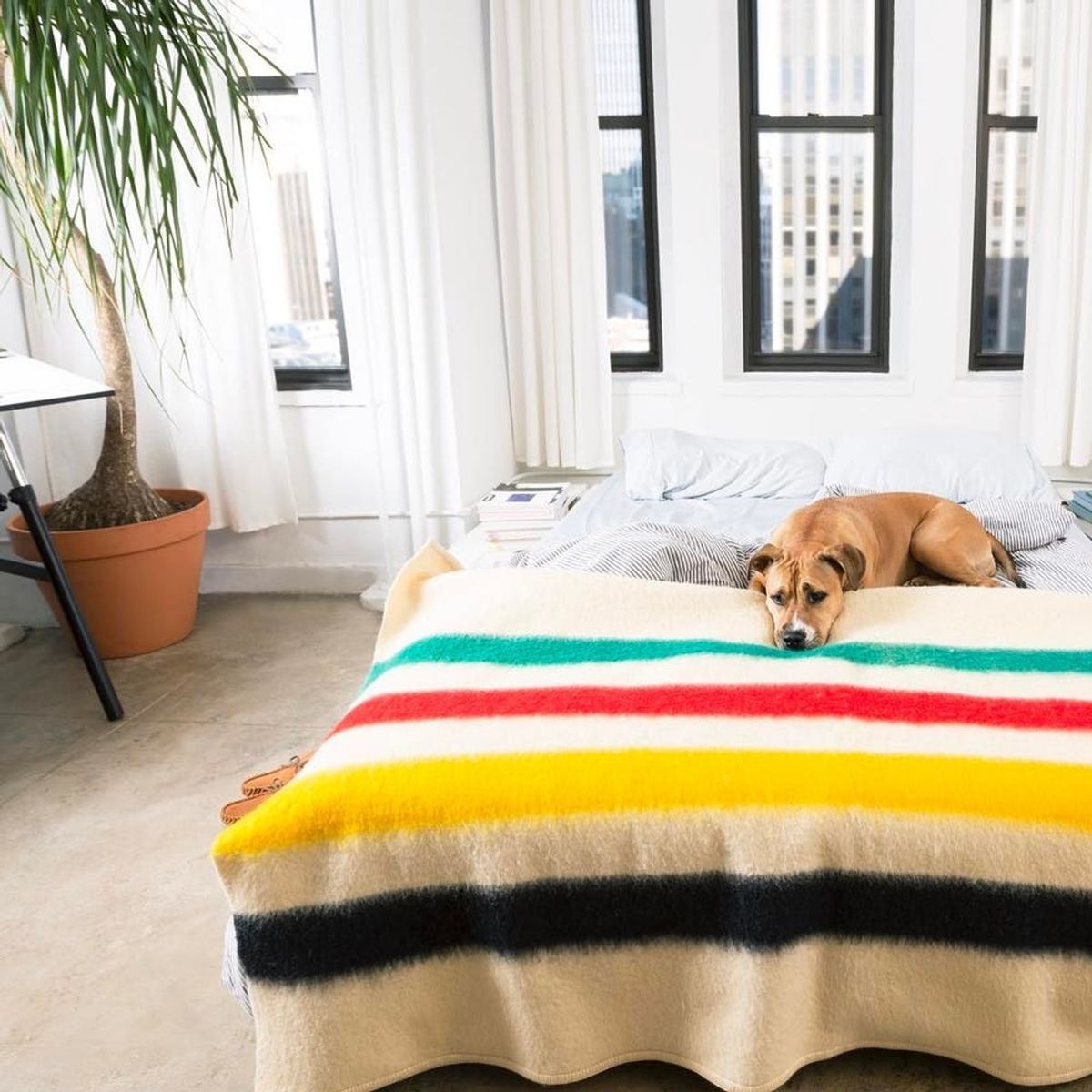 5 Ways to Get a Good Night’s Sleep When the Seasons Change