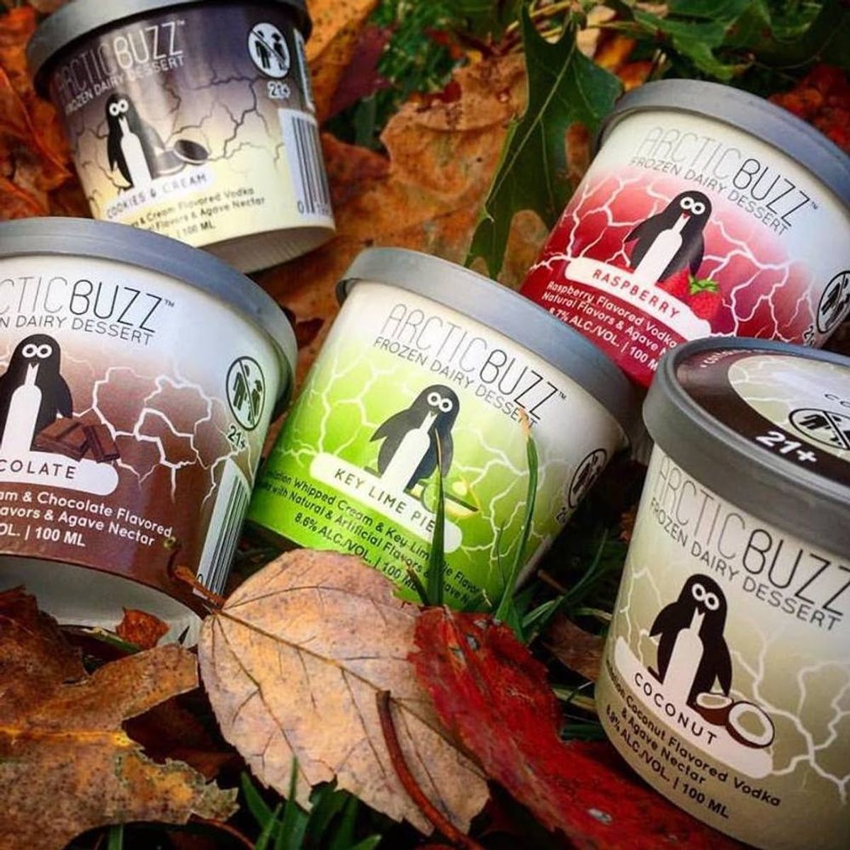 Vodka Ice Cream Is a Thing and We Want It in Every Flavor