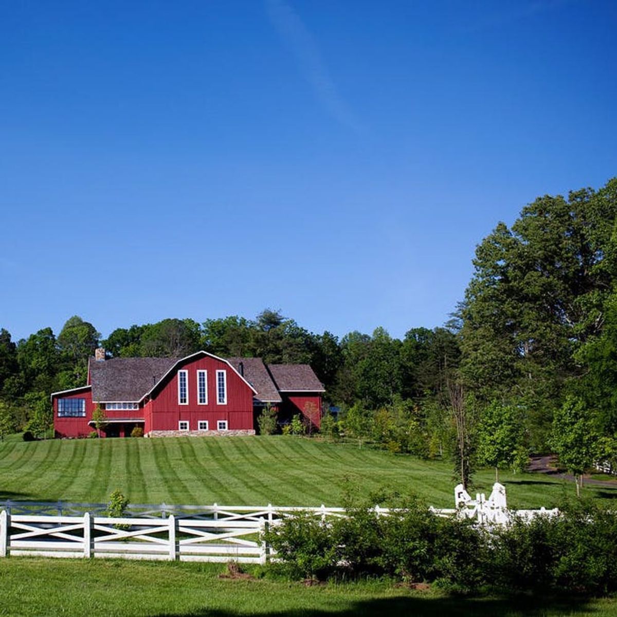 The 6 Best US Spas to Get Your Forest Bathing On