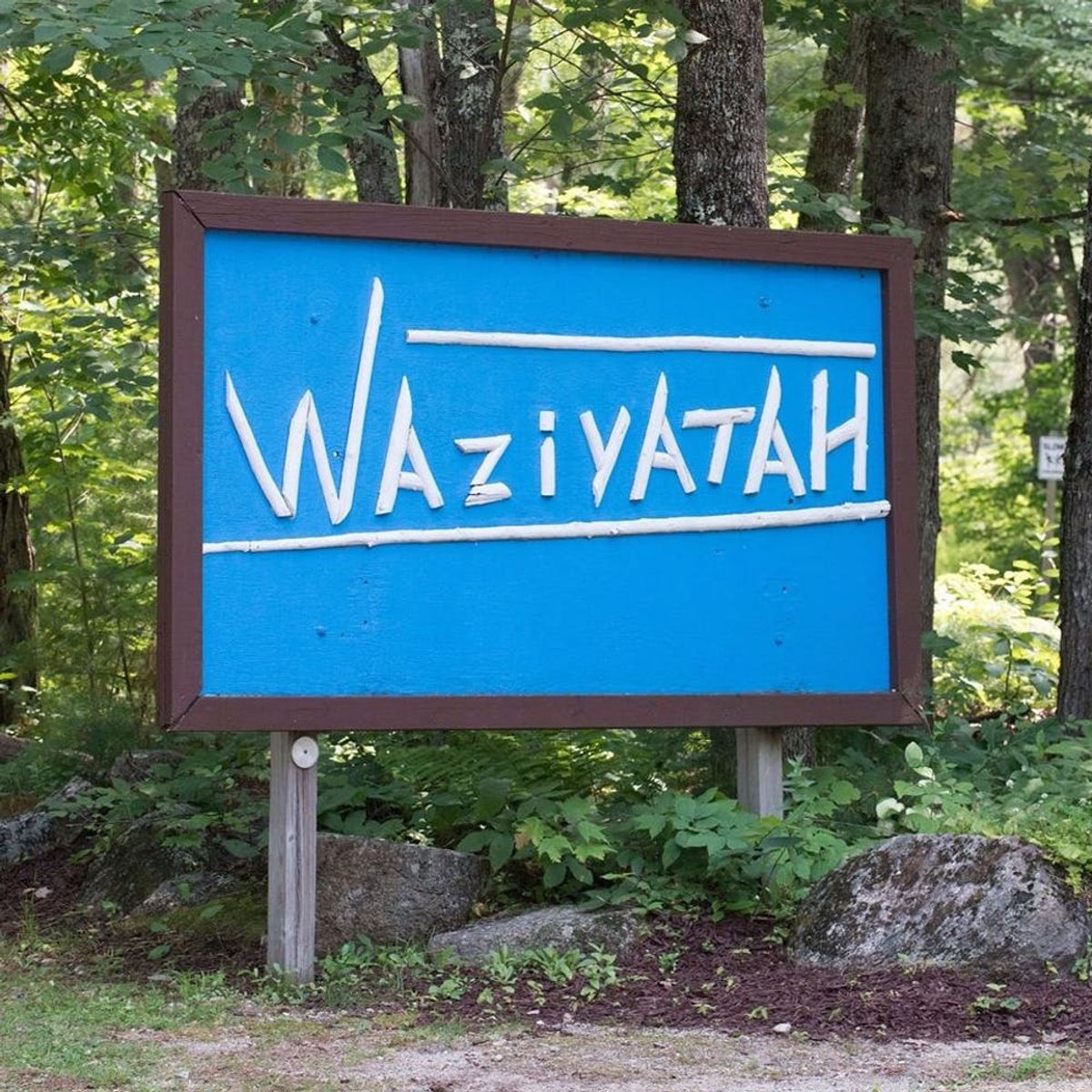 Disney Channel Just Announced a Bug Juice Revival!