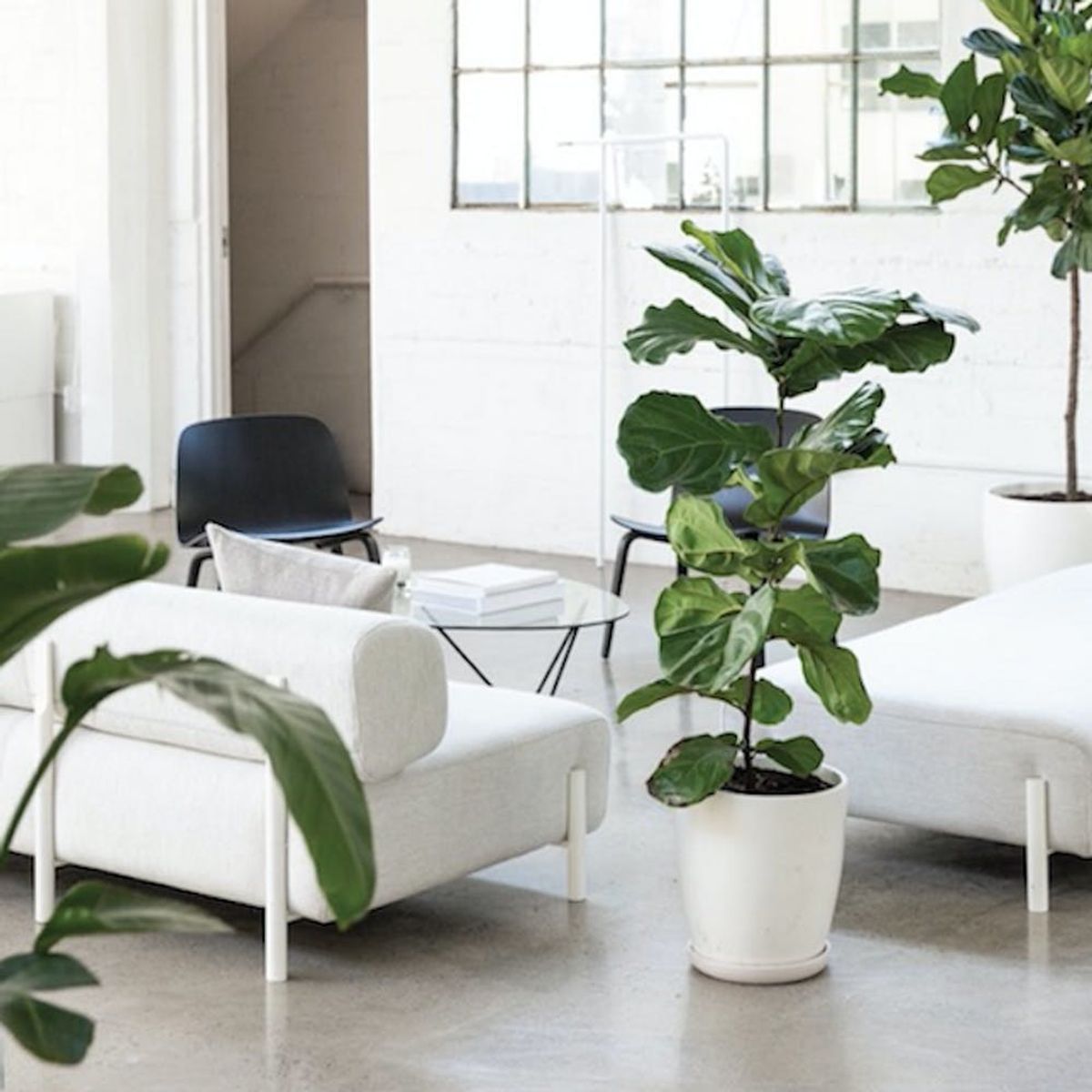 Tour the Most Fashionable Offices of Your Favorite Brands