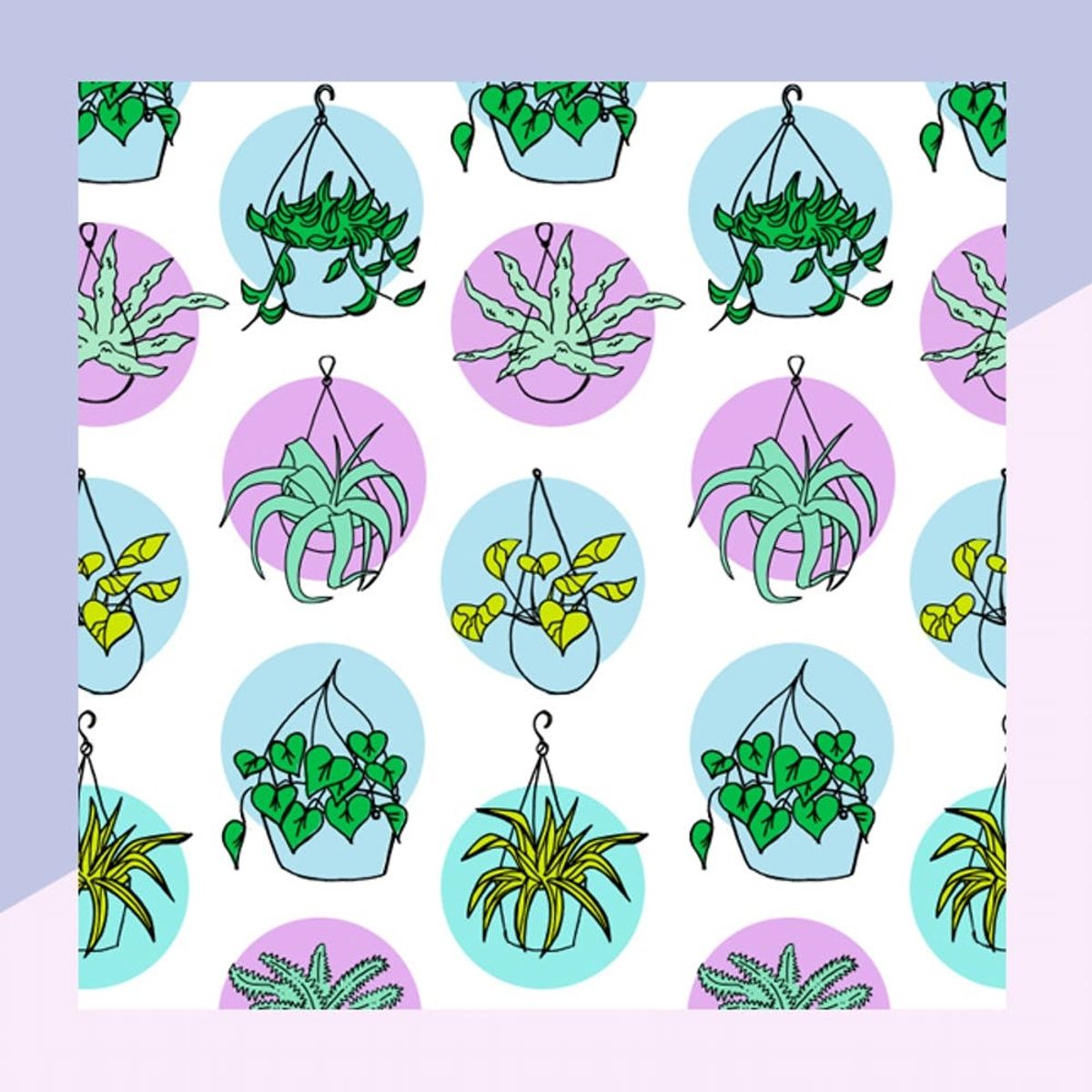 This Hanging Indoor Plant Guide Will Help You Pick the Best Greenery for Your Space