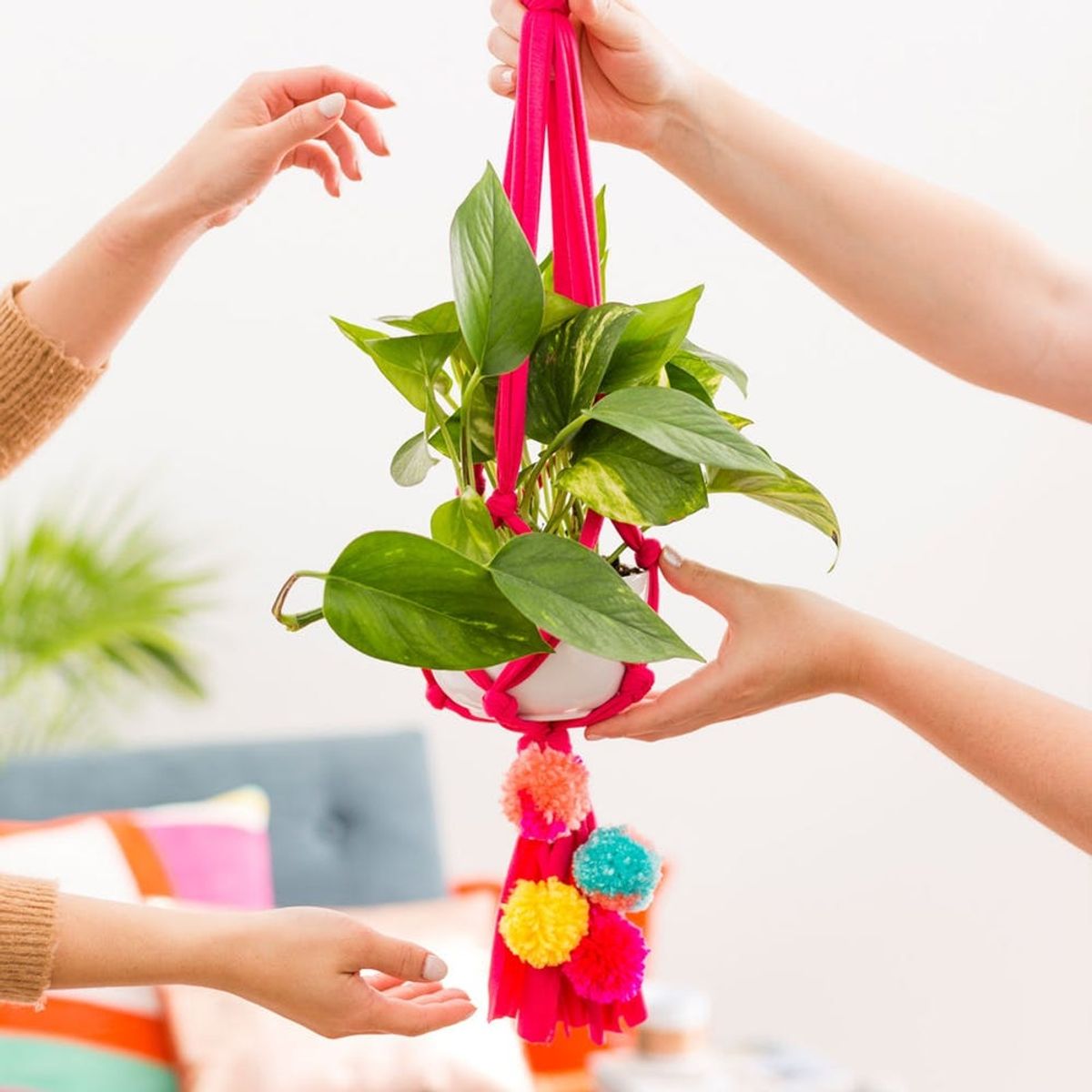 Be a Cool Adult (Not a Regular Adult) With This 15 Minute Home DIY