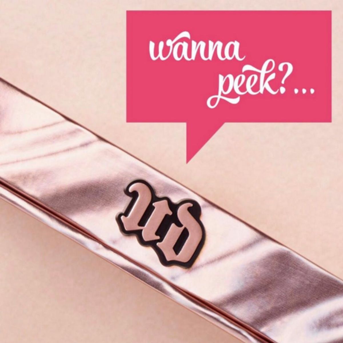 Instagram Is Freaking Out About This New Urban Decay Palette