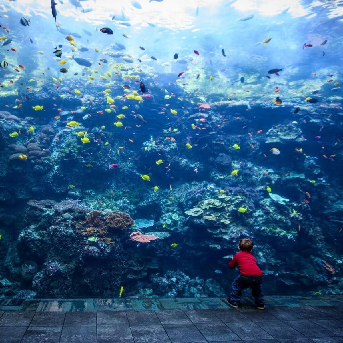 7 Museums Where You Can Spend the Night