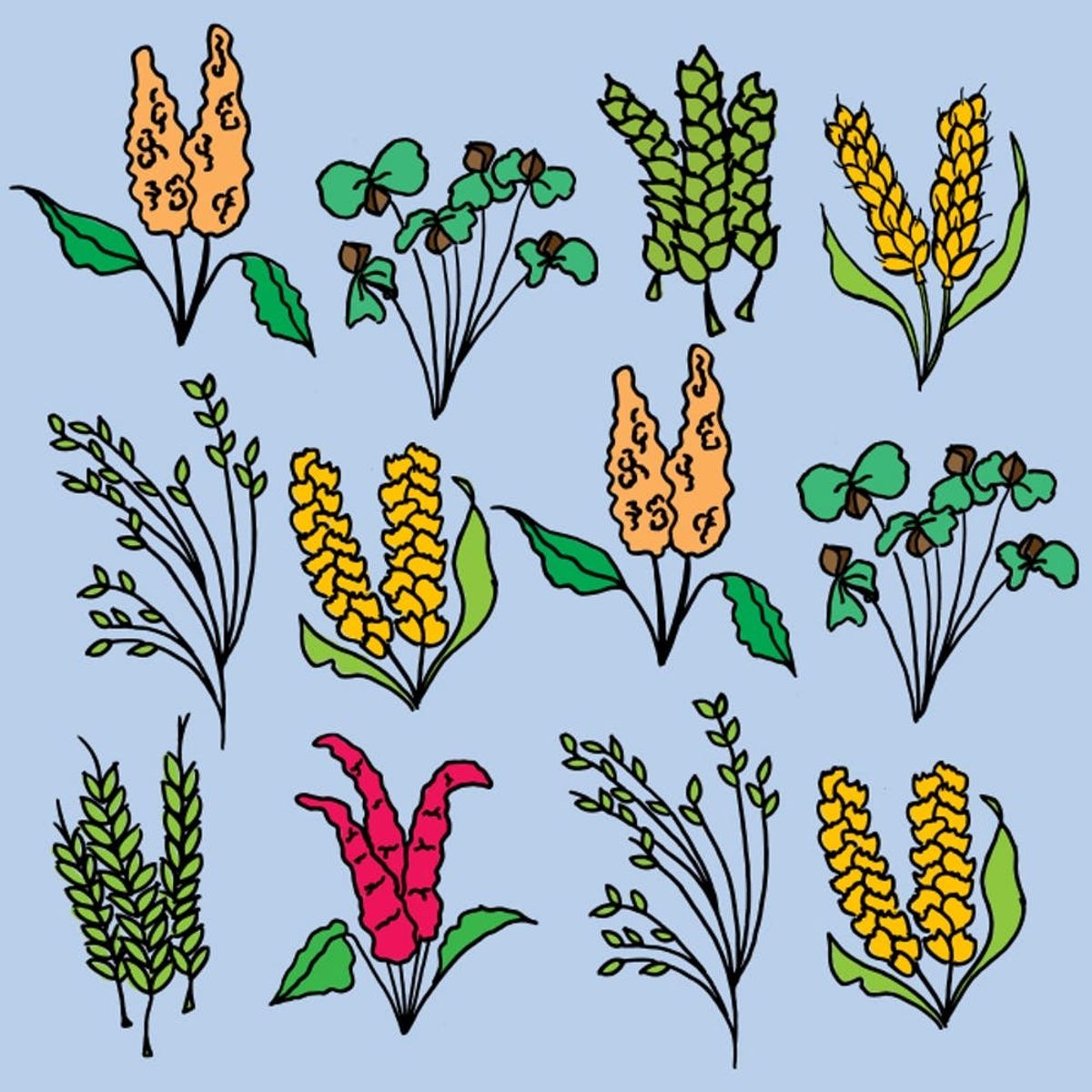 INFOGRAPHIC: 8 Healthy Ancient Grains to Fill Up On