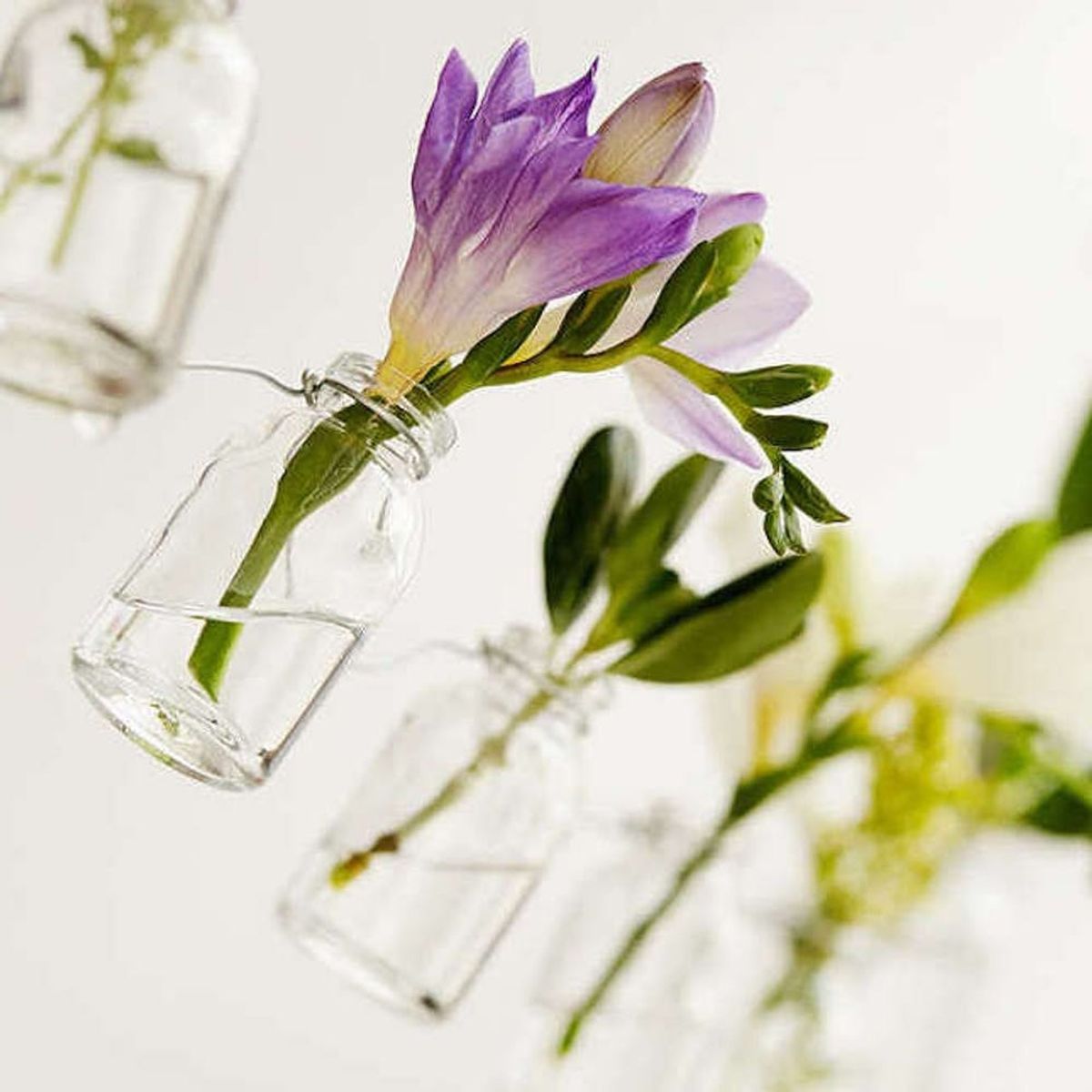 15 Affordable Planters from Urban Outfitters to Elevate Your #PlantLady Status