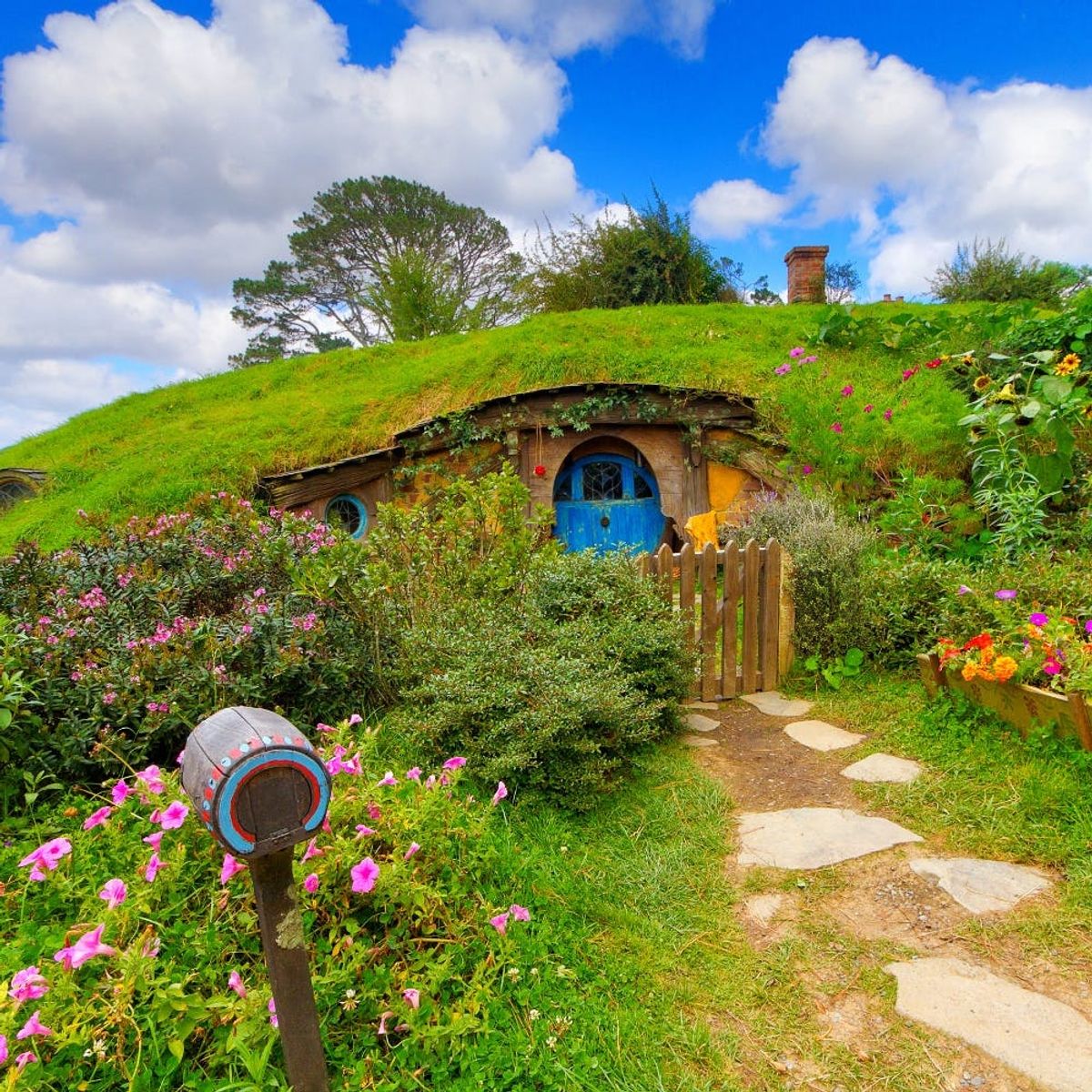 Here’s How to Score a Totally Free Trip to New Zealand