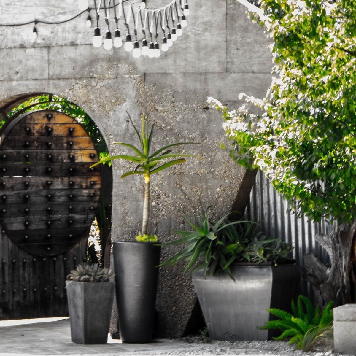 Heading to SXSW in March? Join Us at Create & Cultivate’s Pop Up