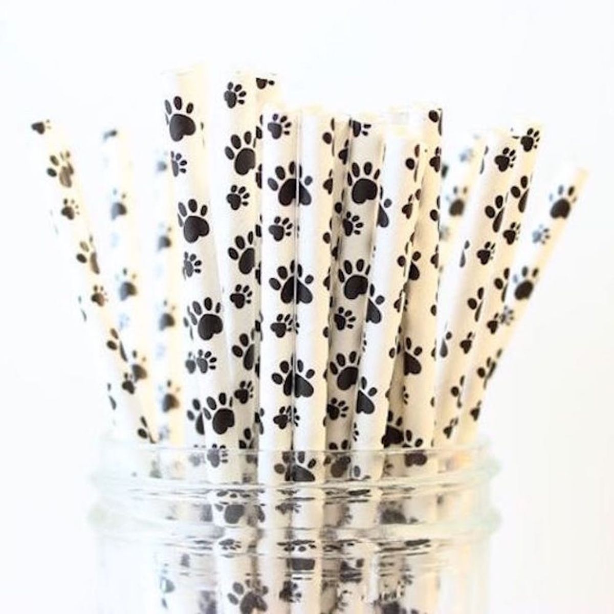 Everything You Need for the Best Dog Birthday Party Ever