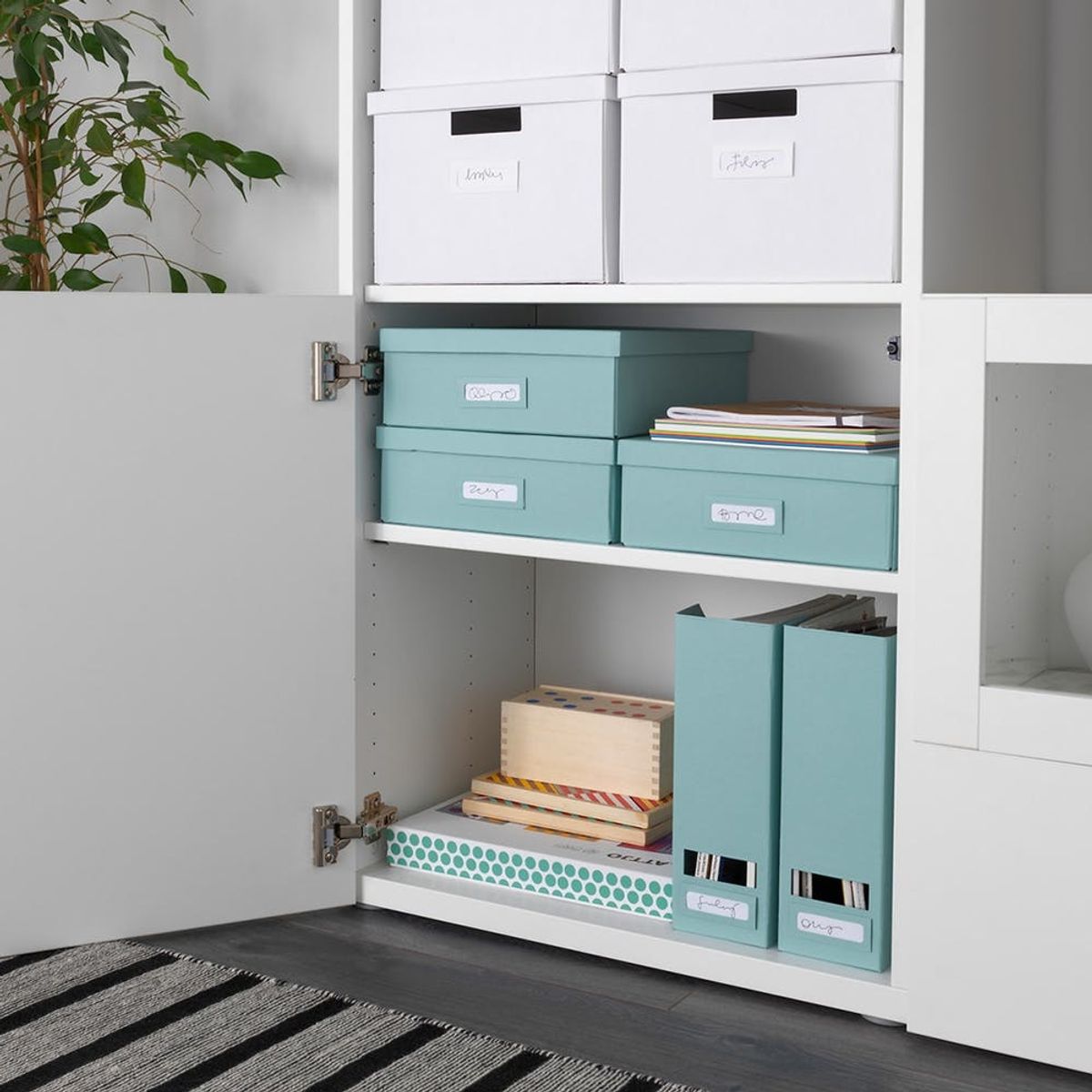 Adulting 101: 12 Tips + Tricks for Getting Your Apartment Organized