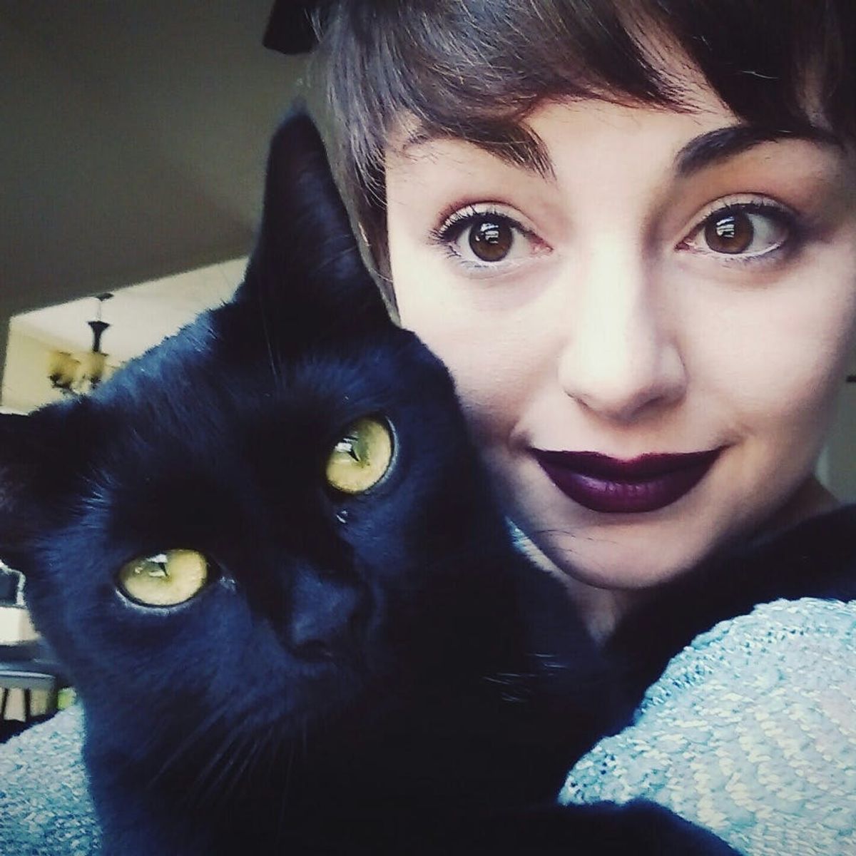 This Shelter Is Giving Away Free Black Cats on Black Friday