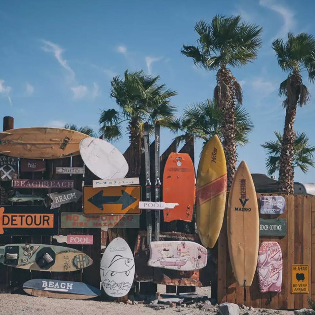 6 Insta-Worthy Joshua Tree Campsites for Fall Camping