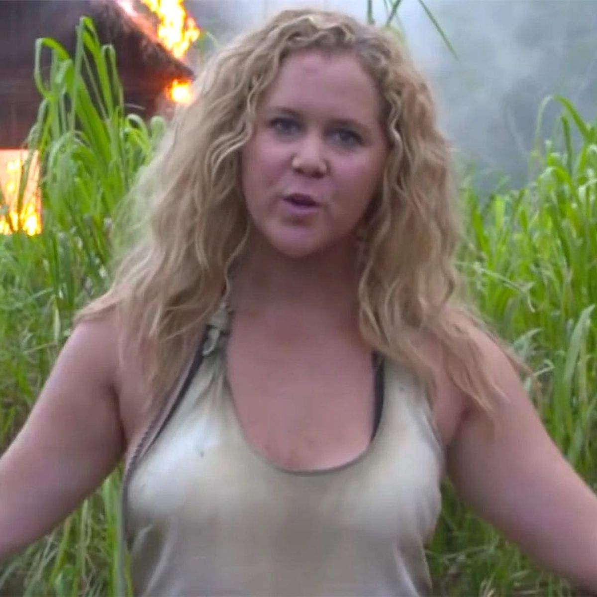 Find Out Why People Are Throwing an #AmySchumerGottaGoParty on Twitter