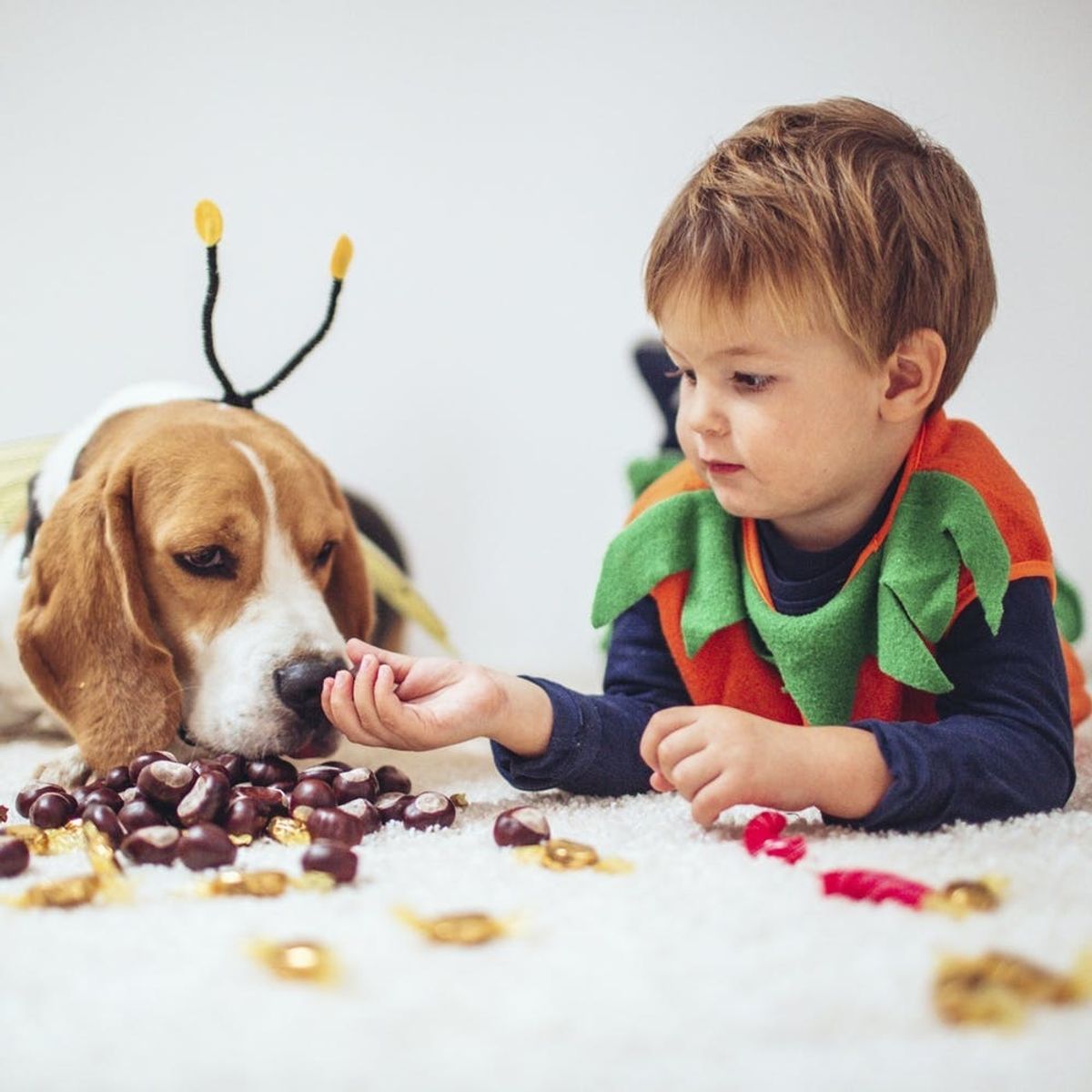 5 Ways to Keep Your Kids’ Halloween Candy Craze Under Control