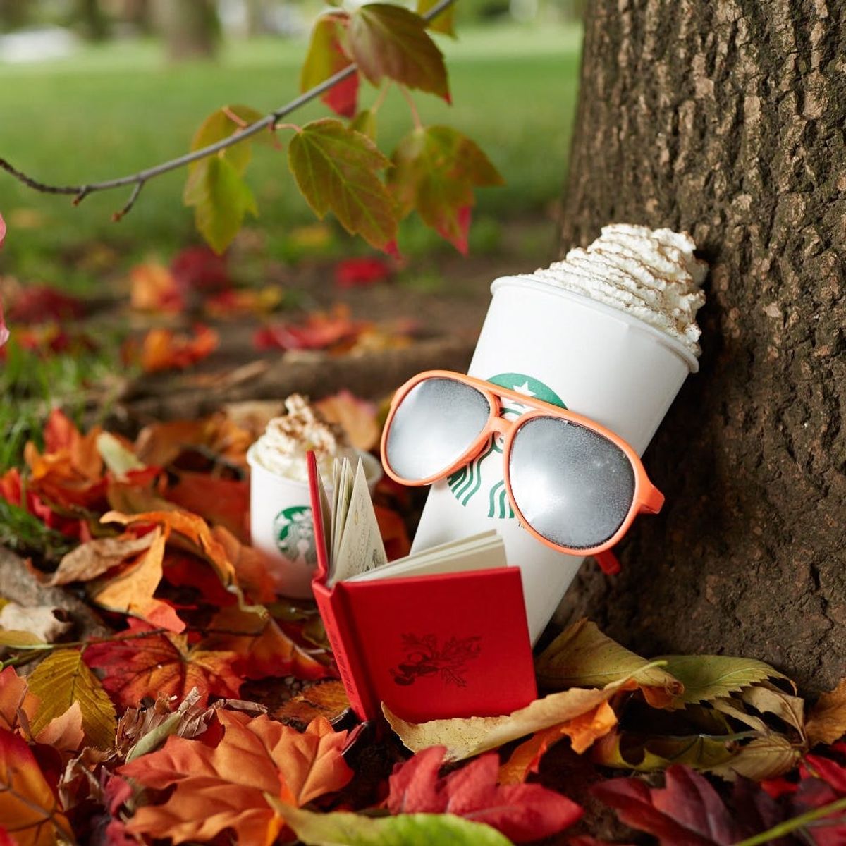 We Tried to Get the Scoop on the PSL’s Return + Here’s What Happened