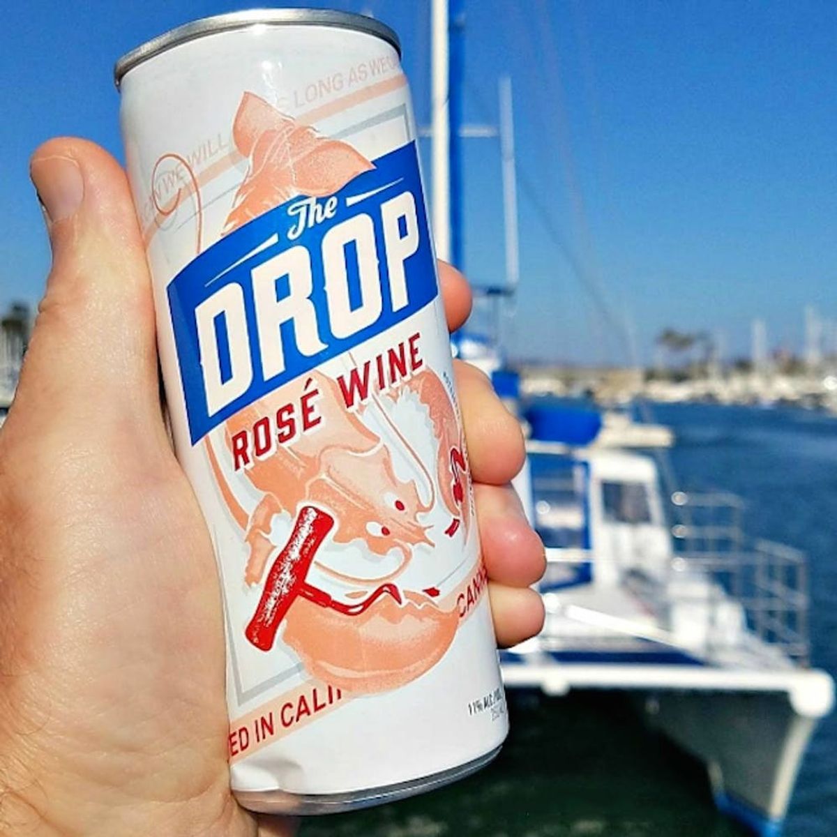 Wine in a Can Is Now a Thing — and You Can Take It Everywhere