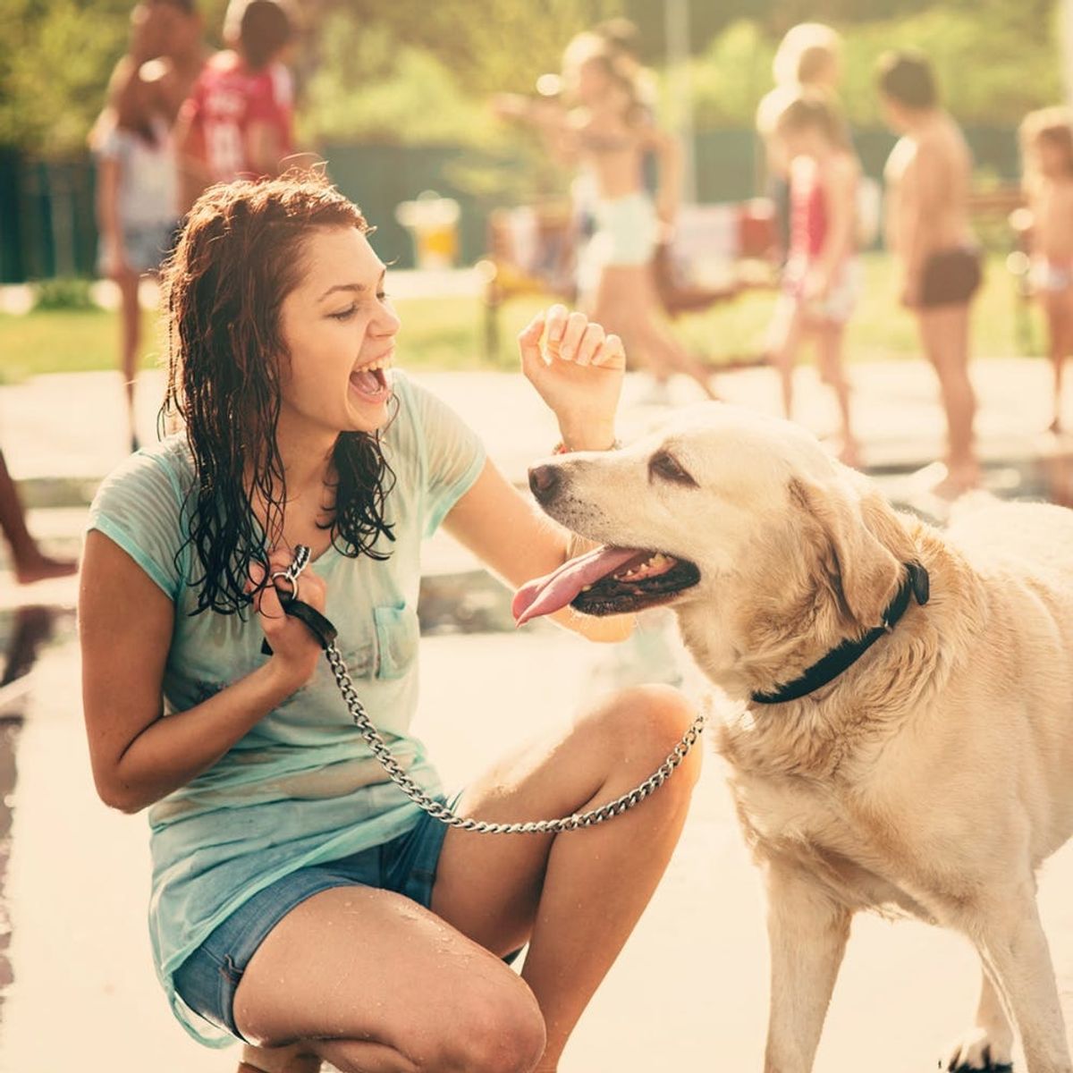 3 Must-Read Ways to Protect Your Puppy from the Sun This Summer