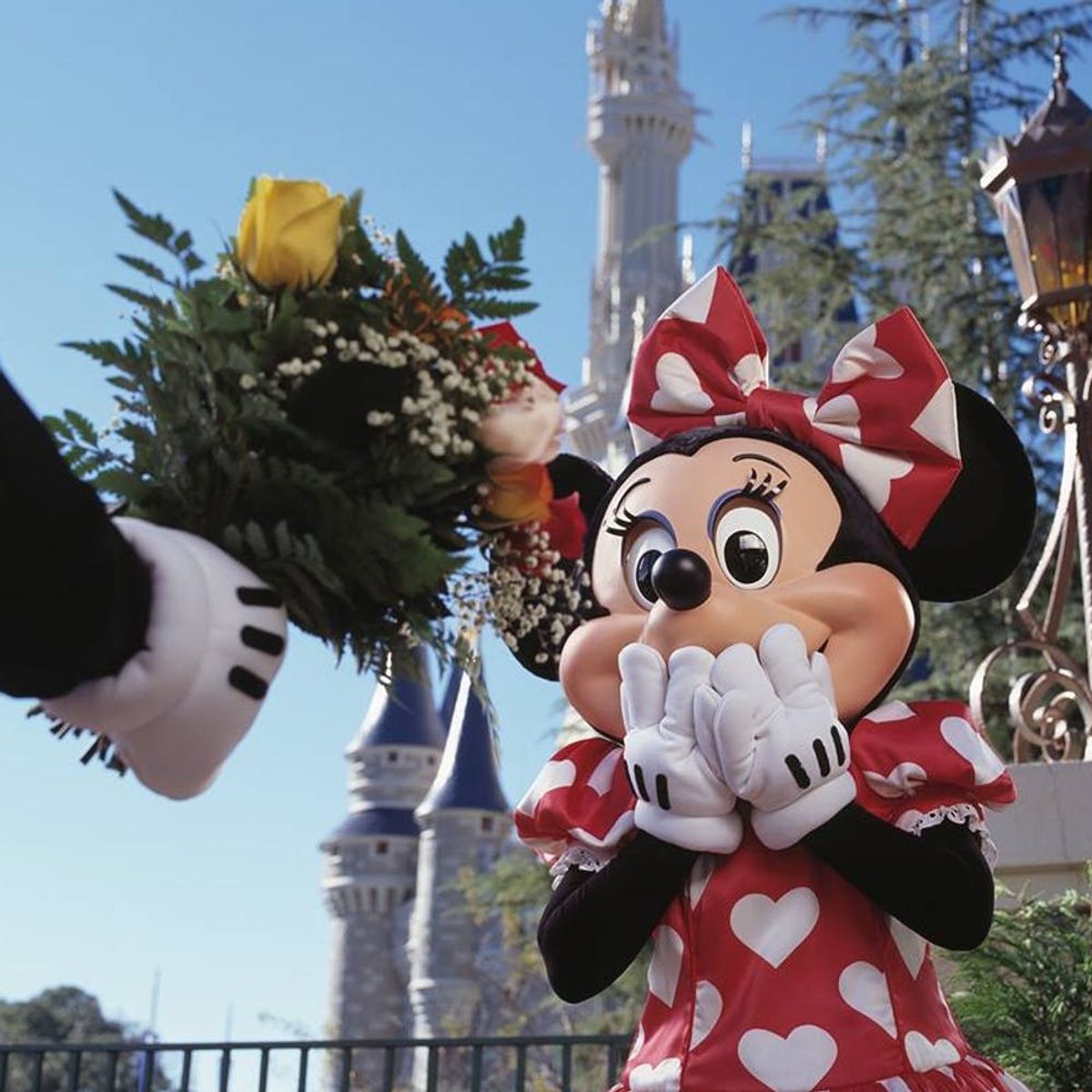 Find Out Which of Your Favorite Characters Are Coming to Disney Parks