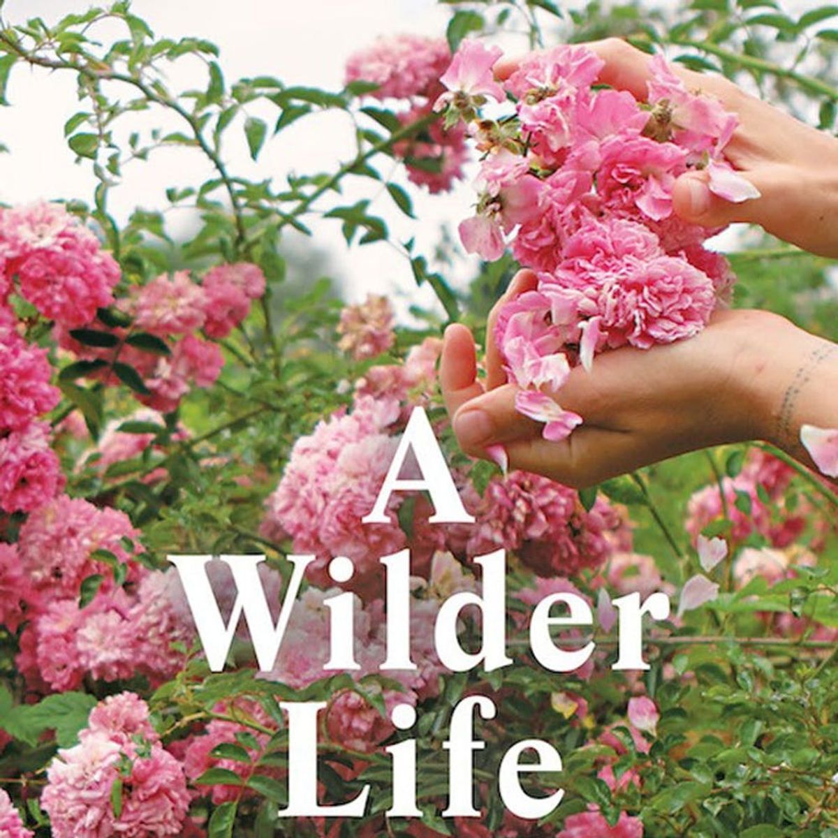 This Isn’t Your Mother’s Gardening Book and We’re Obsessed