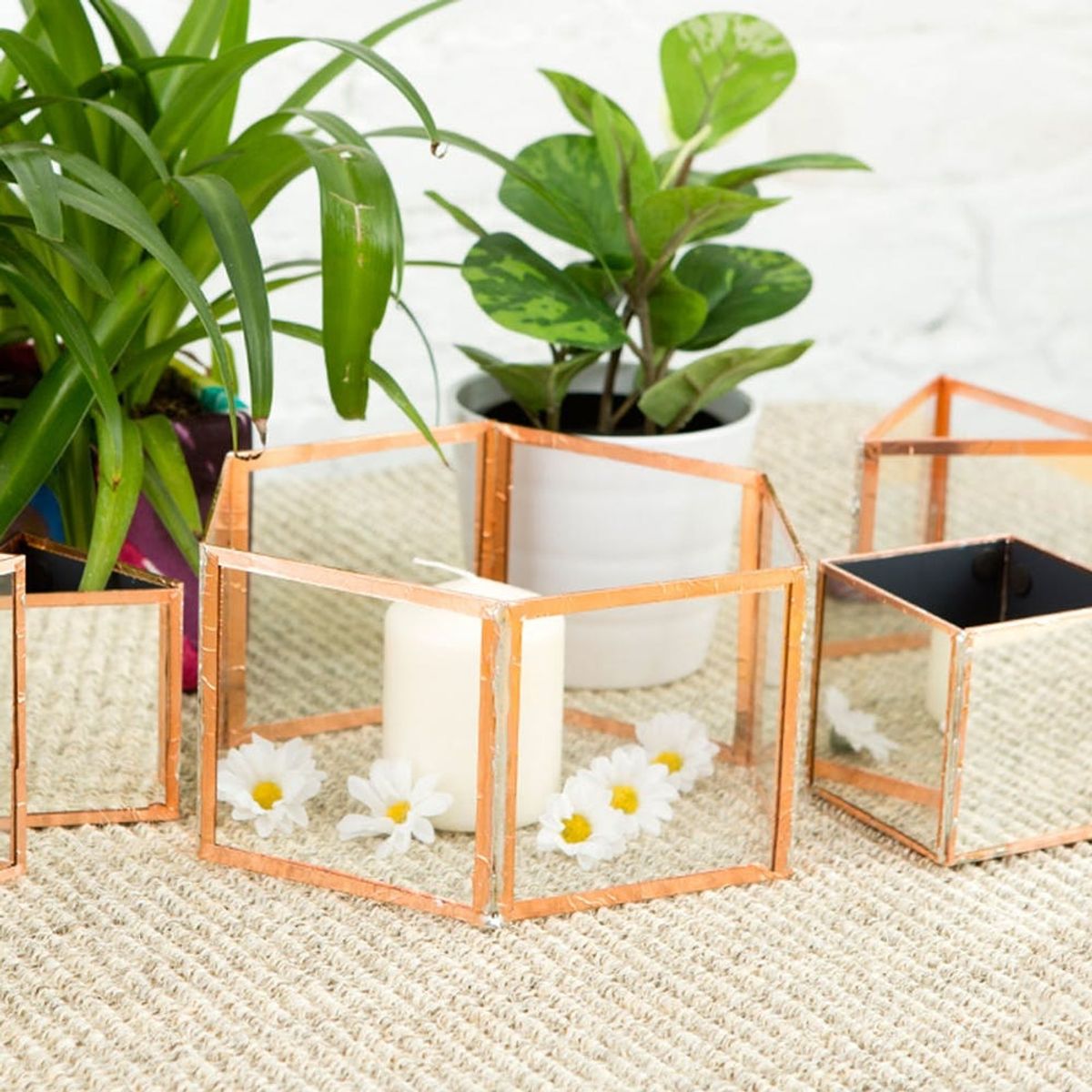 Never Buy a Terrarium Again After Tackling This DIY