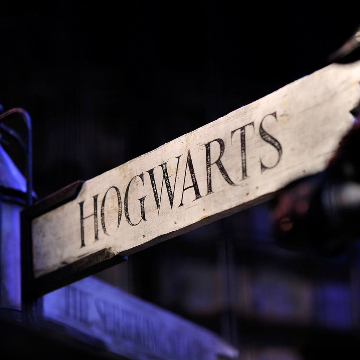 This Couple Created the Harry Potter Wedding of Your Dreams