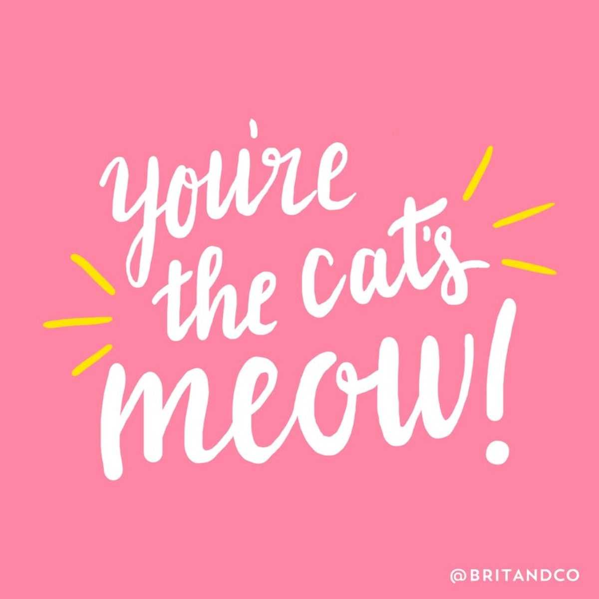 This Study Will Change Cat Ladies’ Lives Forever