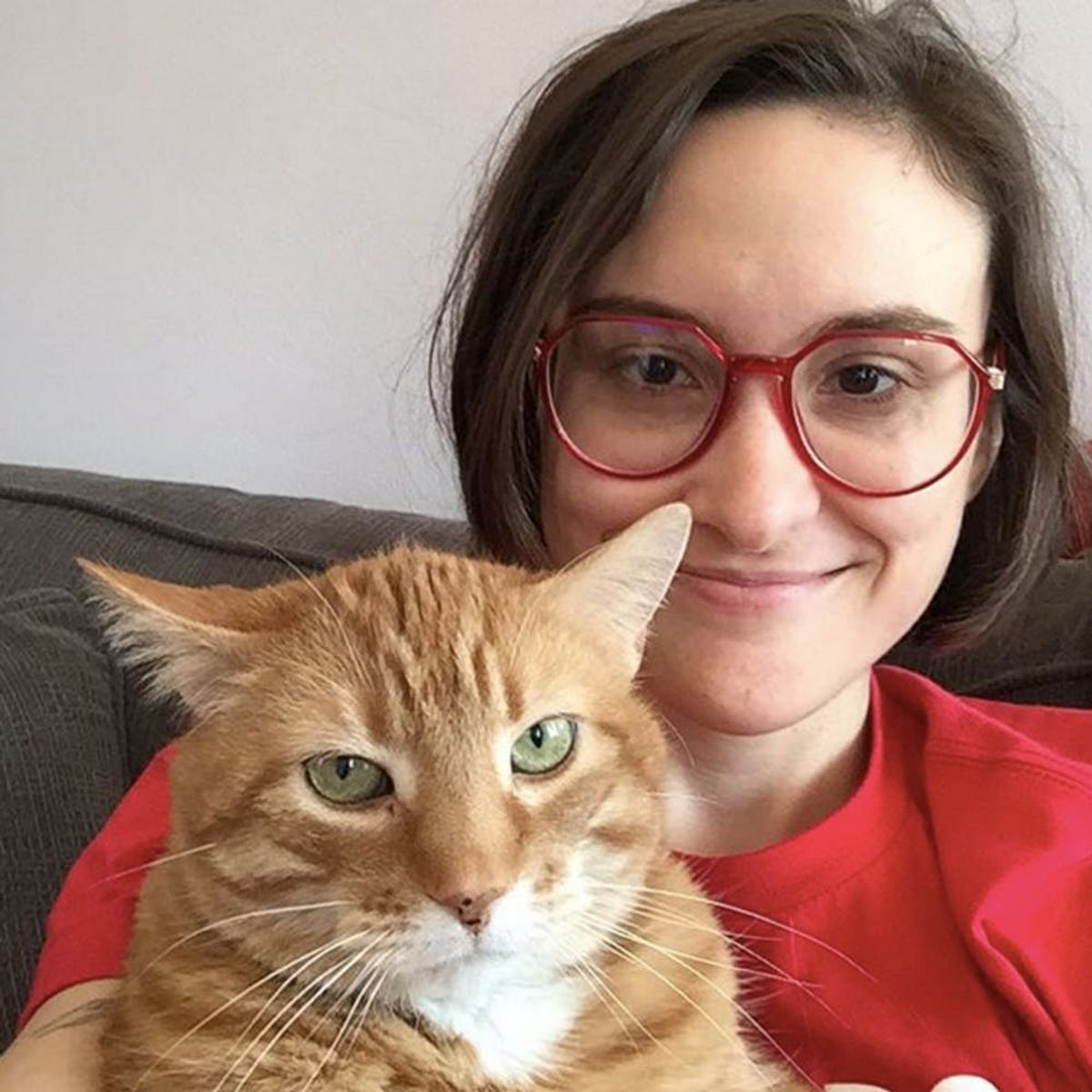 4 Signs That You’re Actually a Cat